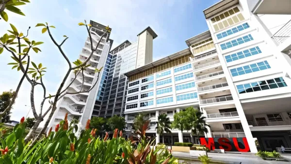 Management & Science University (MSU)
