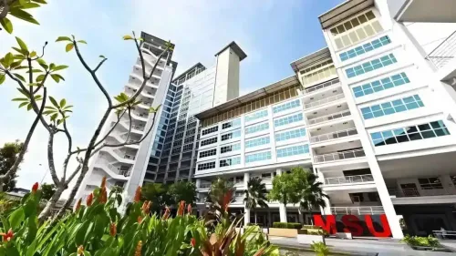 Management & Science University (MSU)